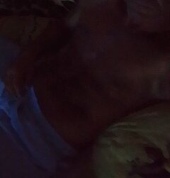 realnysexxx