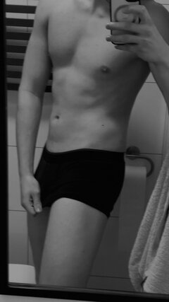 Retriever_ddboy