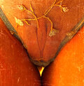 DesireDuo2