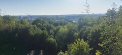 Walecznyhuj