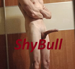 ShyBull
