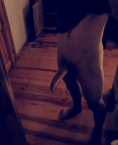 dawid6969699696