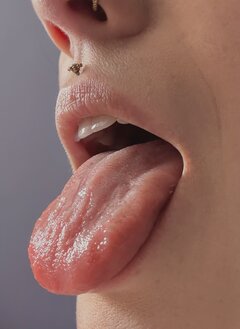 pansy_0