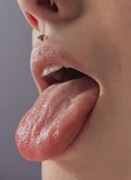 pansy_0