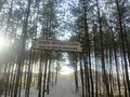 Nietuzinkowi_78