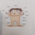 fiucik_maly