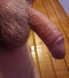 ADAM_1_1