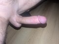 maledanio87