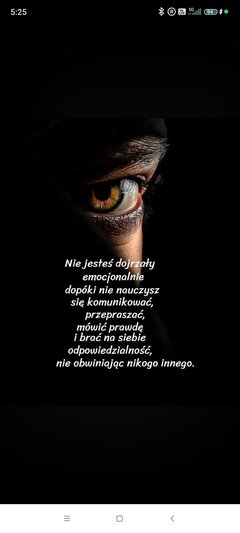 Singiel433