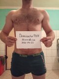 Dominator9301