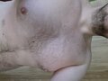 Tenktoregochcesz