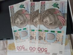 Ogrod_nik