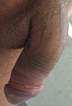 Penisek8892