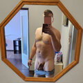 Wolny_ptak_
