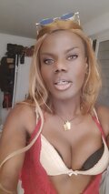 OniJegoTrans