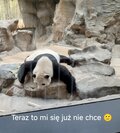 Marcin78Marcin