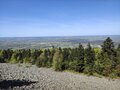 michal_1985_wawa