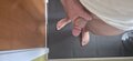 Toya2000