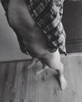 Cuckbull96