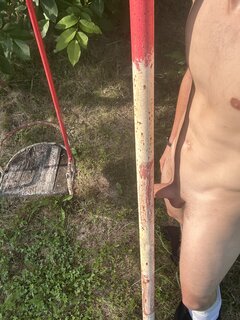 Kaki32