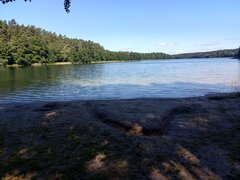 OnMazowieckie0