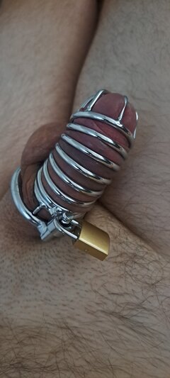 Ilikedickandpussy