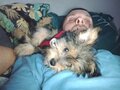 Crazyredhunter1109