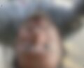 FakeUber