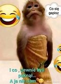 Mezatkaa38