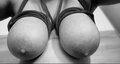 szara__mysz