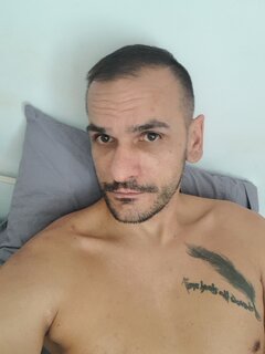 Palmucii