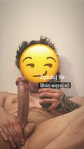 SporawyDopracowany