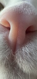 VieleDobra_666