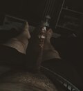 Casanova93