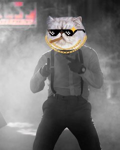 Smoczysko690