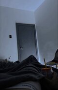 adamek0517