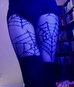 Lila_polyk