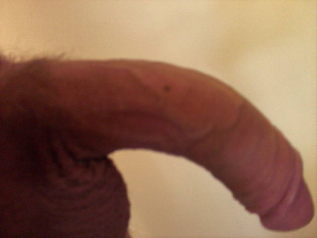 alex29