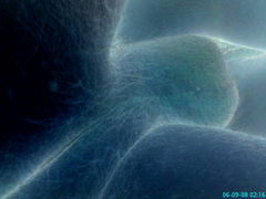 DSC00546.JPG