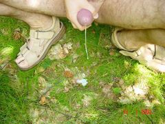 DSC01898.jpg