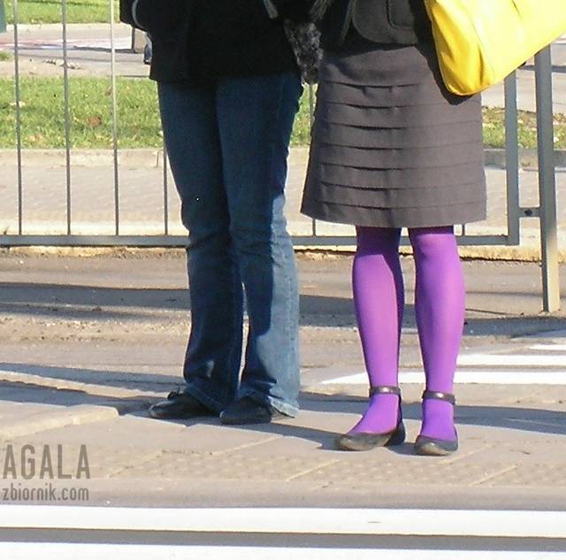modny fiolet - AGALA