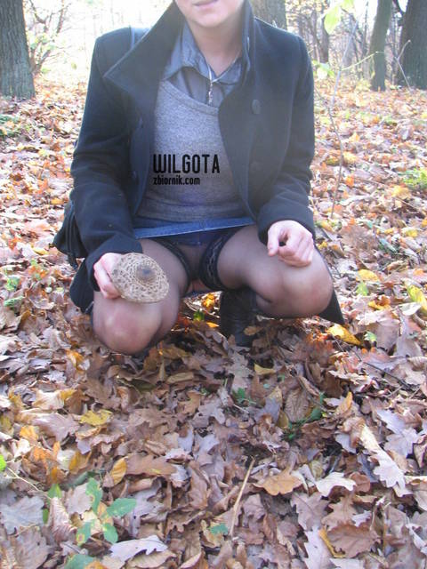 Obraz 928.jpg - wilgota
