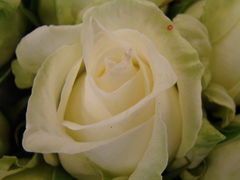 DSC01572.JPG