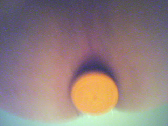 52004_203.jpg - damskieciuszki
