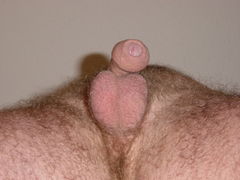 DSC06473.JPG