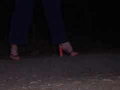 100_9541.JPG