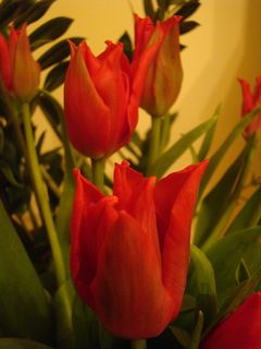 DSC00628.JPG