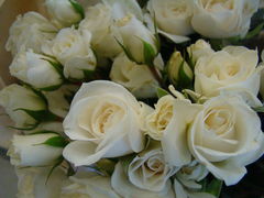 DSC08932.JPG