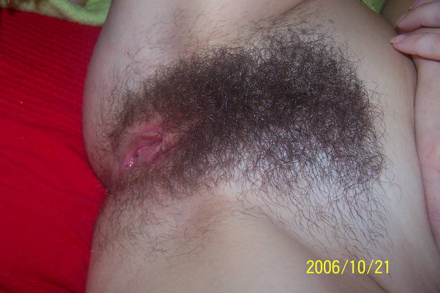 100_6737.JPG - DusanK