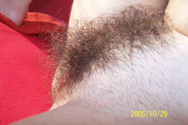 100_8036.JPG - DusanK